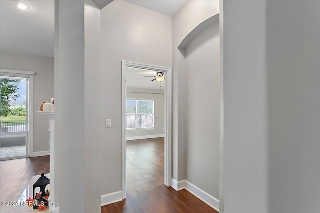 hallway with a textured ceiling and dark hardwood / wood-style floors