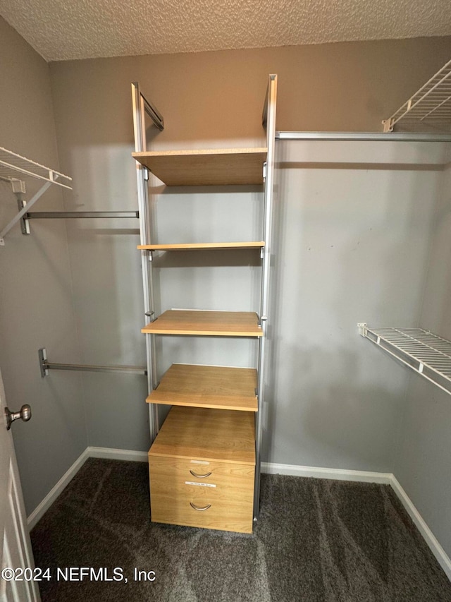 spacious closet with dark carpet