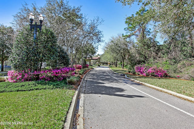 view of street featuring street lights and curbs