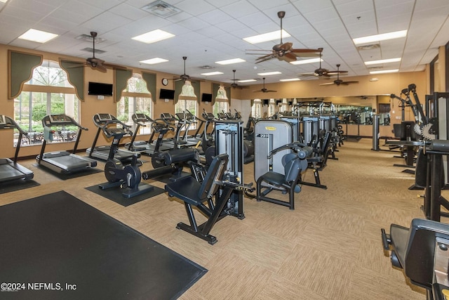 8757 Little Swift Cir Unit 22F, Jacksonville, FL 32256 - workout area featuring carpet floors, ceiling fan, and a drop ceiling