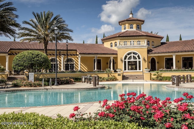 view of swimming pool with a patio area