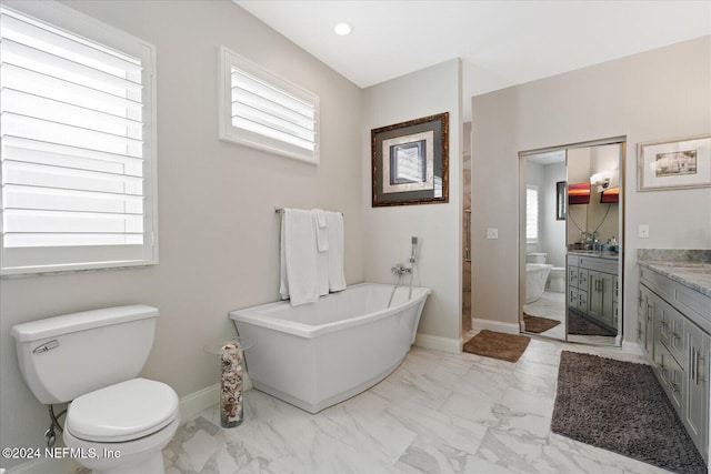 bathroom with vanity, toilet, a wealth of natural light, and a washtub