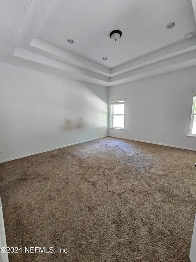 unfurnished room featuring a tray ceiling and carpet floors