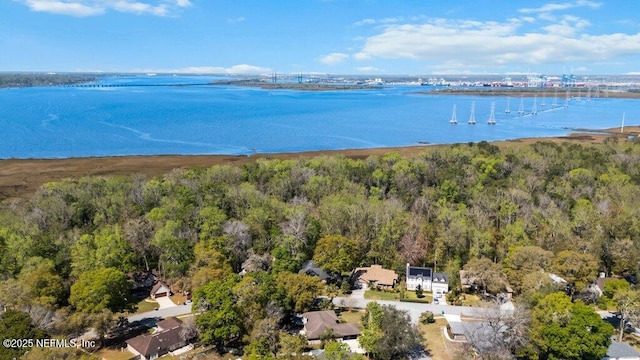 drone / aerial view featuring a forest view and a water view