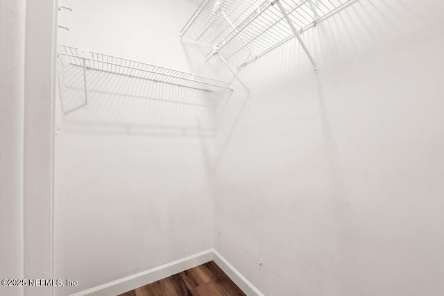 spacious closet with dark wood-style flooring