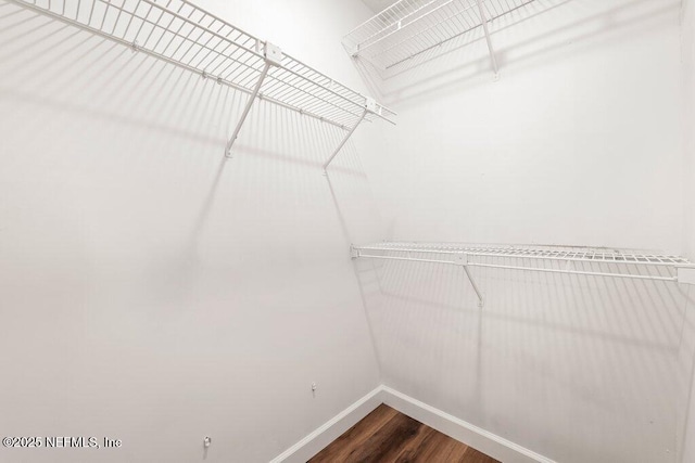 walk in closet featuring dark wood-style flooring