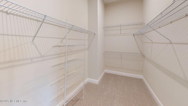 345 Palomar Dr, Saint Johns, FL 32259 - walk in closet with carpet