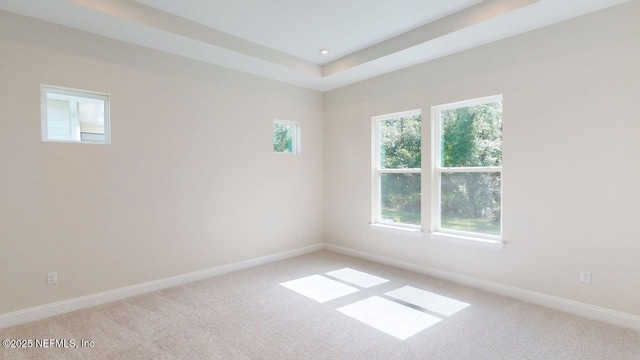 345 Palomar Dr, Saint Johns, FL 32259 - spare room with light colored carpet and recessed lighting