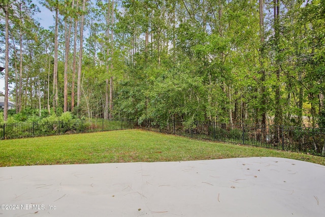 view of yard featuring a patio area