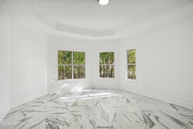 spare room with a raised ceiling and ornamental molding