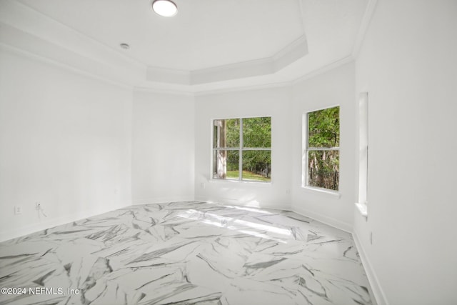 unfurnished room featuring ornamental molding and a tray ceiling