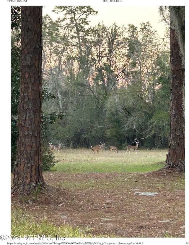104 Riverside Ln, Palatka, FL 32177 - photo 16