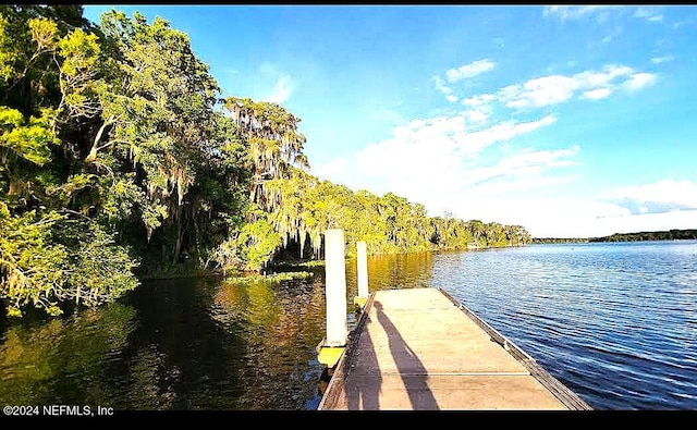 104 Riverside Ln, Palatka, FL 32177 - photo 11