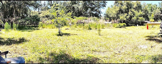 104 Riverside Ln, Palatka, FL 32177 - photo 9