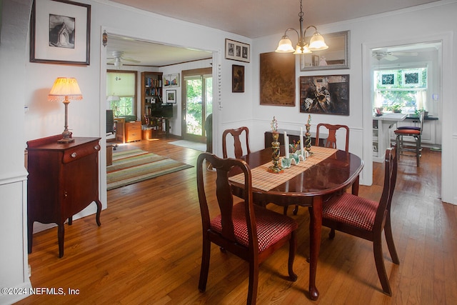 dining room with wood-type flooring, ceiling fan with notable chandelier, ornamental molding, and plenty of natural light