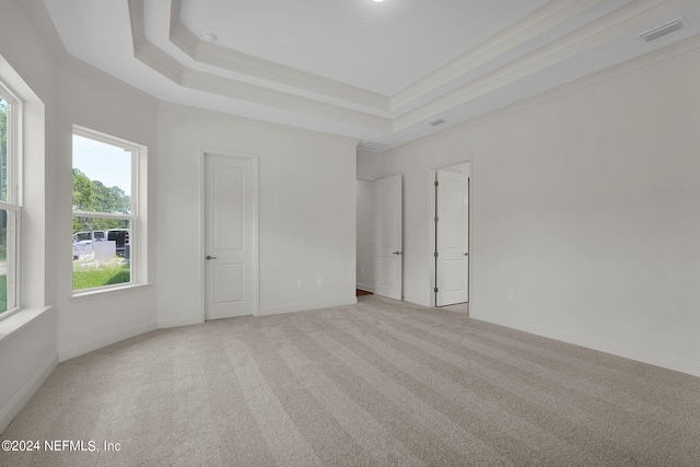 unfurnished room featuring ornamental molding, a tray ceiling, and carpet