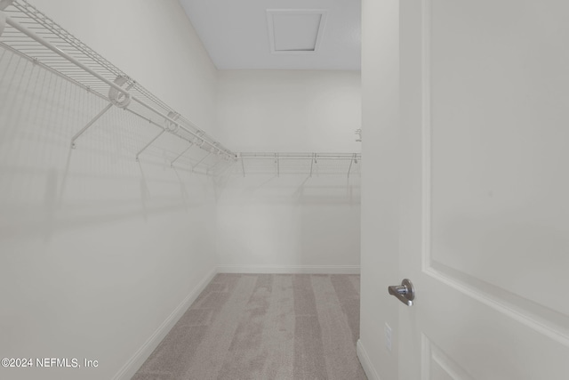 walk in closet featuring light carpet