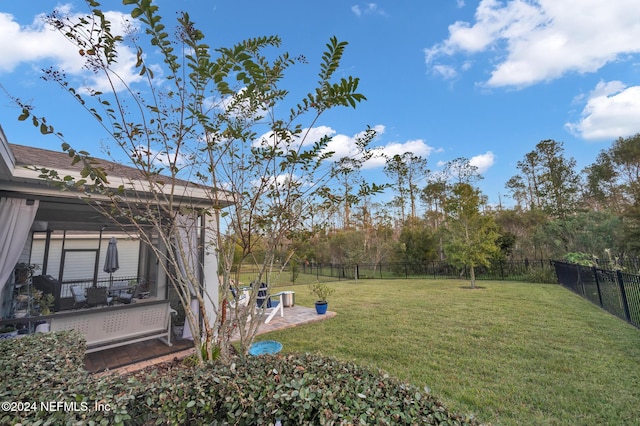 view of yard featuring a patio