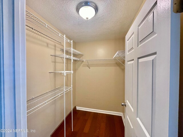 spacious closet featuring dark hardwood / wood-style floors