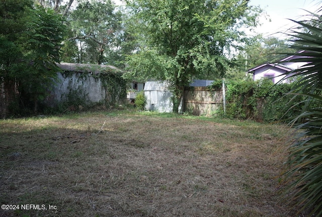 view of yard