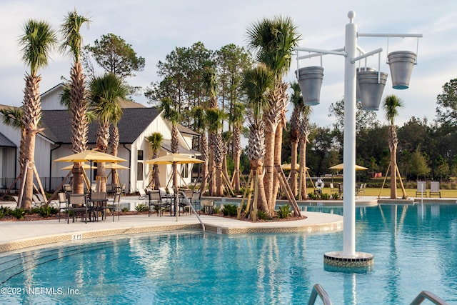 view of pool featuring a patio