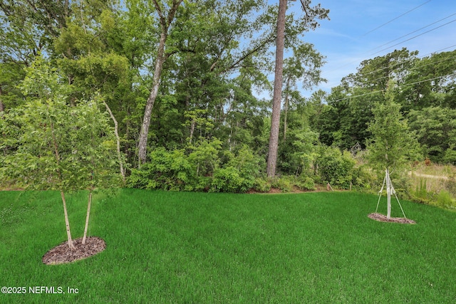63 Bird Watch Ct, Saint Augustine, FL 32092 - view of grassy yard