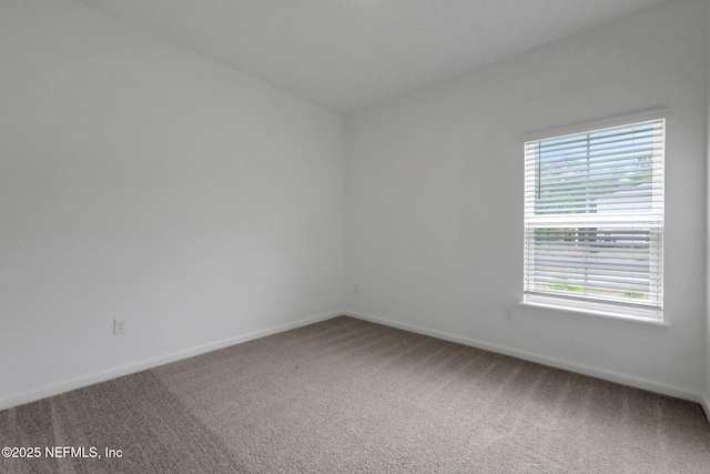 63 Bird Watch Ct, Saint Augustine, FL 32092 - spare room with carpet and baseboards