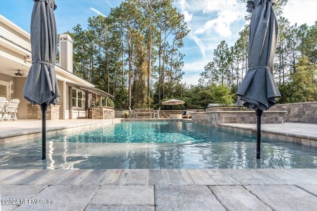 view of swimming pool featuring a patio area