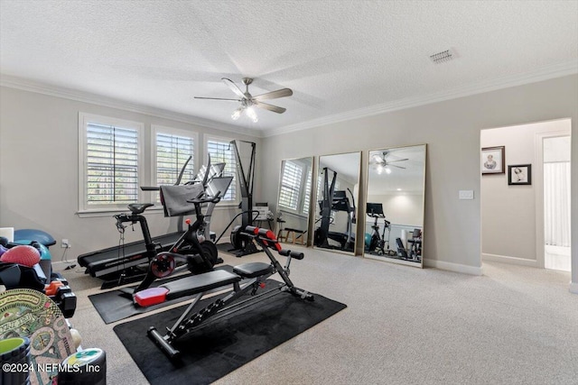 10225 Russell Sampson Rd, Saint Johns, FL 32259 - exercise area featuring ceiling fan, ornamental molding, a textured ceiling, baseboards, and carpet flooring