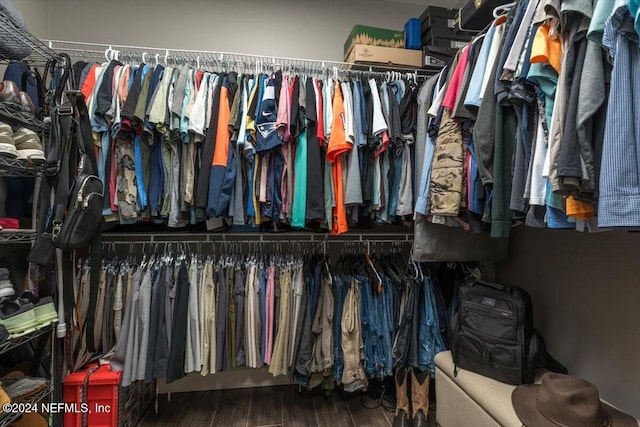 spacious closet with hardwood / wood-style floors