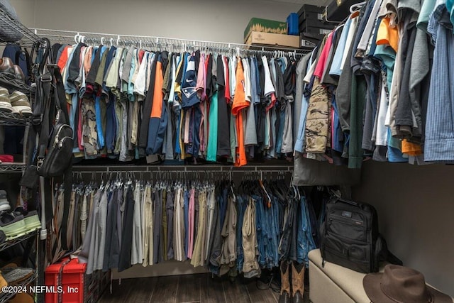 10225 Russell Sampson Rd, Saint Johns, FL 32259 - spacious closet featuring wood finished floors