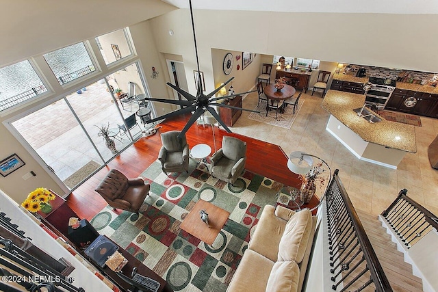 interior space featuring high vaulted ceiling and wood-type flooring