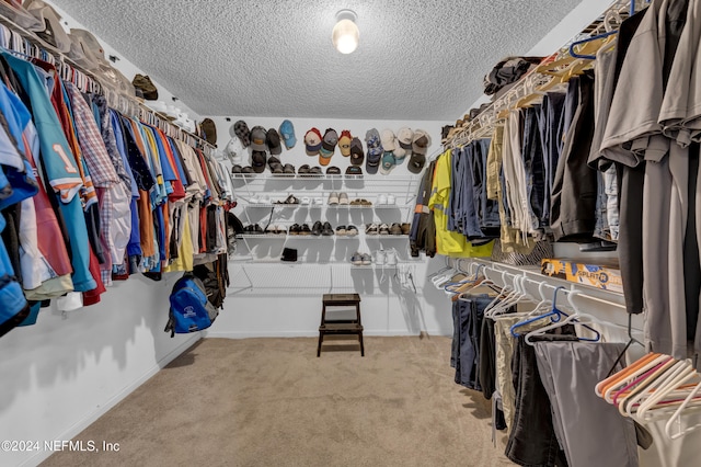 spacious closet with light carpet