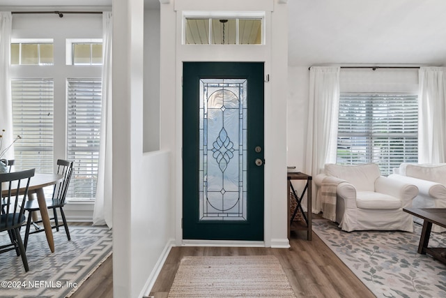 foyer entrance with hardwood / wood-style floors