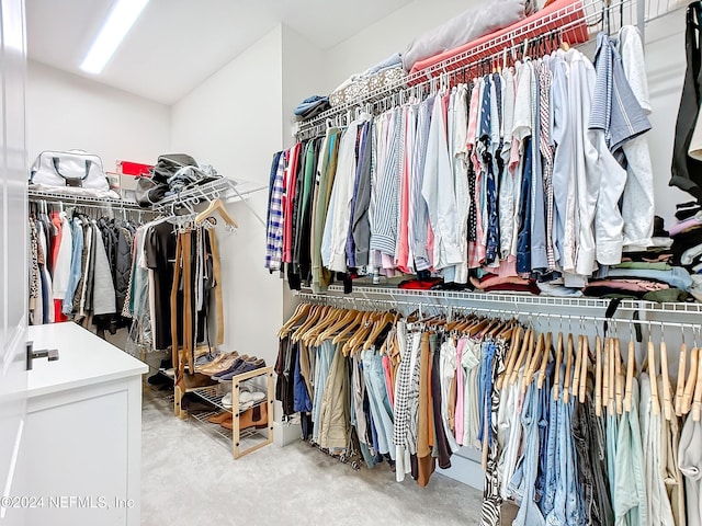 view of spacious closet