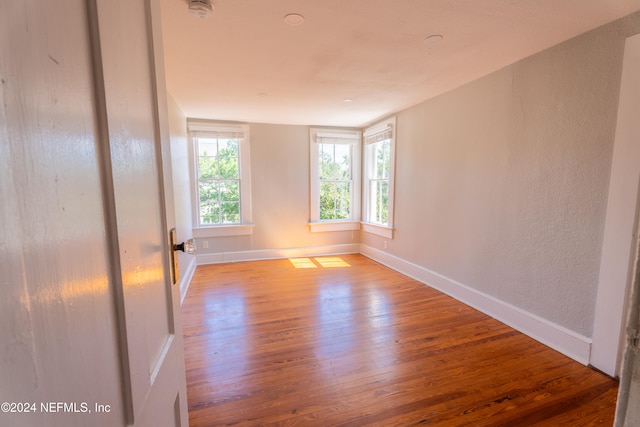 spare room featuring wood-type flooring