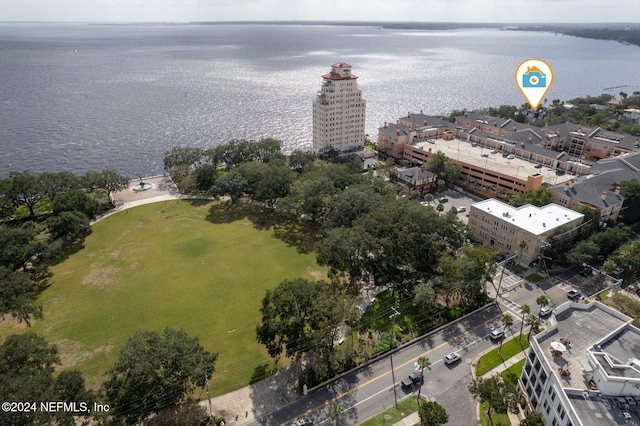 bird's eye view with a water view