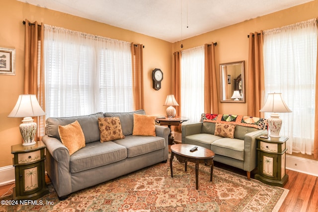 living room with hardwood / wood-style floors and plenty of natural light