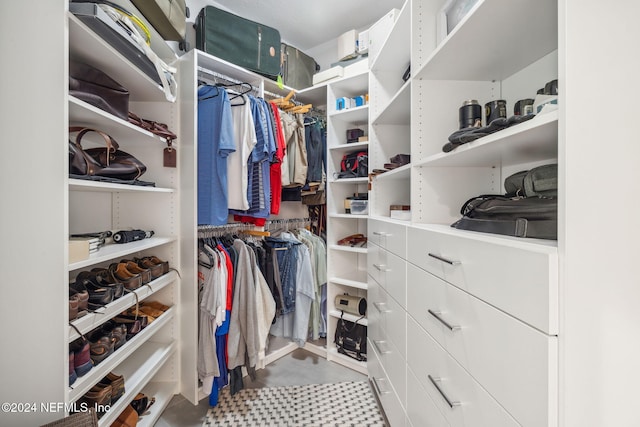 view of spacious closet