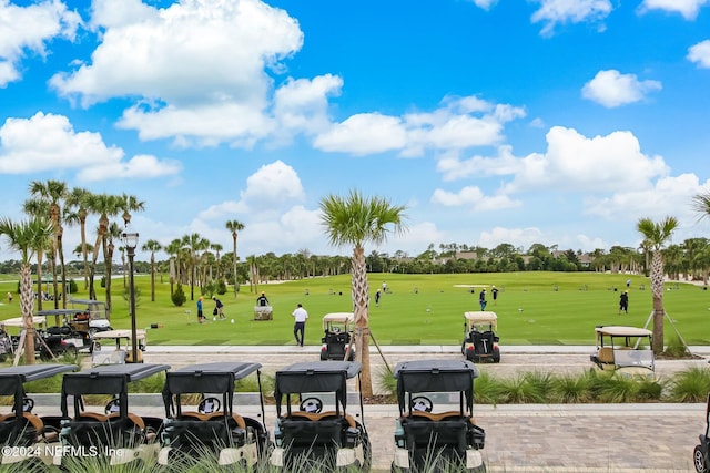 view of home's community with a yard