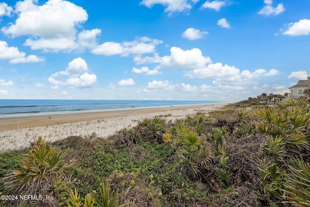 water view with a view of the beach