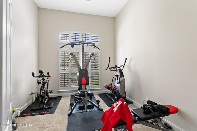 workout room with carpet flooring and a wealth of natural light