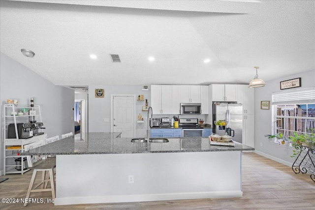 kitchen featuring a large island, stainless steel appliances, and white cabinets