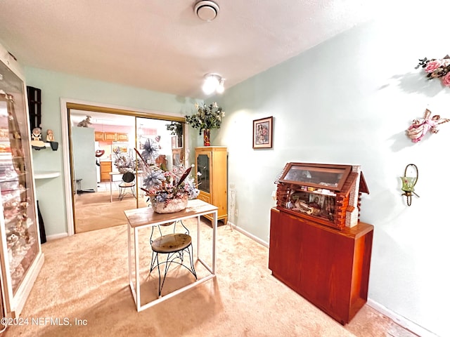 home office with light colored carpet