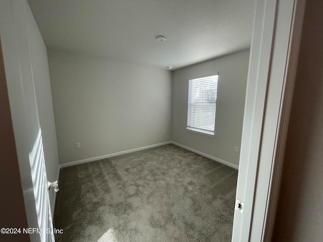 spare room featuring carpet flooring and a textured ceiling