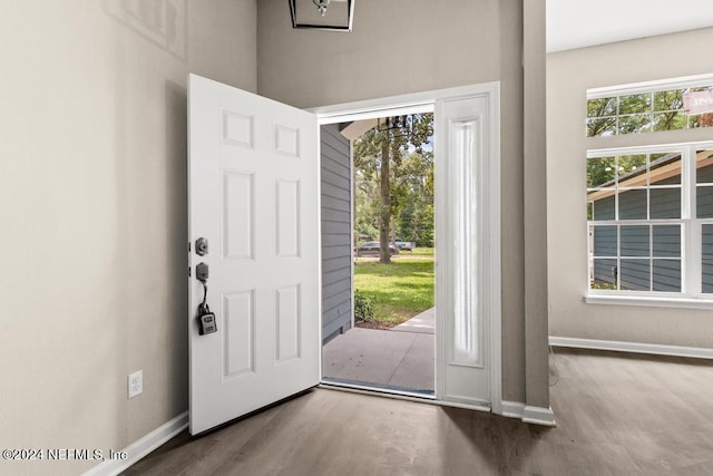 entryway featuring a healthy amount of sunlight and dark hardwood / wood-style flooring