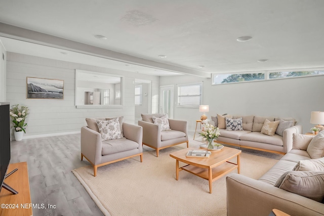 living room with light hardwood / wood-style flooring