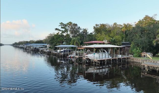 dock area with a water view