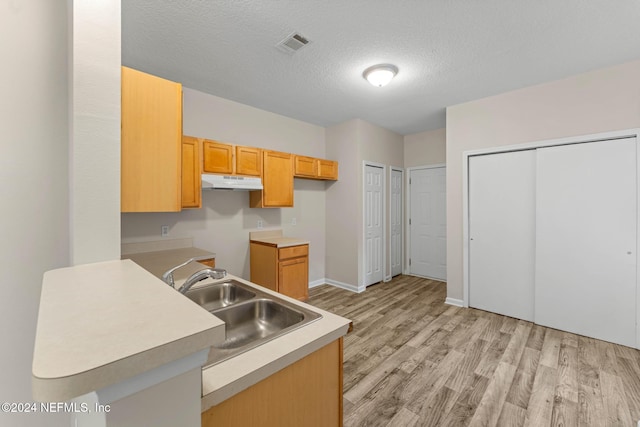 kitchen featuring a textured ceiling, sink, and light wood-type flooring