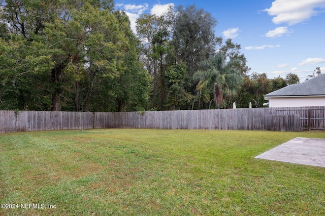 view of yard featuring a patio